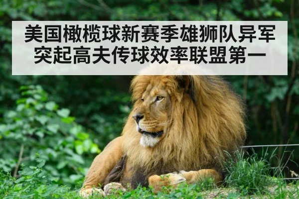 美国橄榄球新赛季雄狮队异军突起高夫传球效率联盟第一