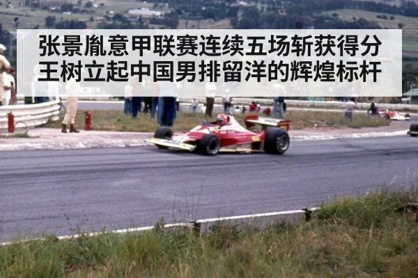 张景胤意甲联赛连续五场斩获得分王树立起中国男排留洋的辉煌标杆
